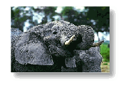 overnight tours